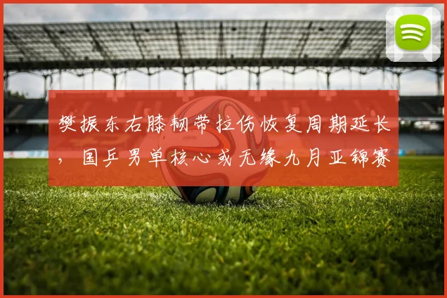 樊振东右膝韧带拉伤恢复周期延长，国乒男单核心或无缘九月亚锦赛