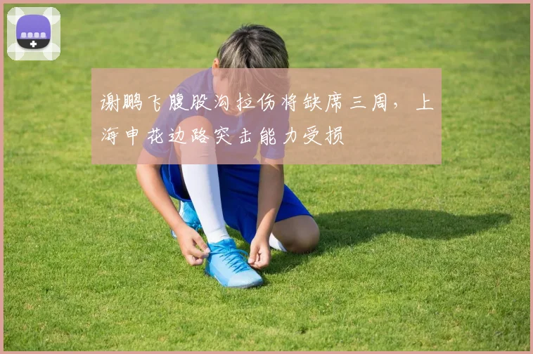 谢鹏飞腹股沟拉伤将缺席三周，上海申花边路突击能力受损